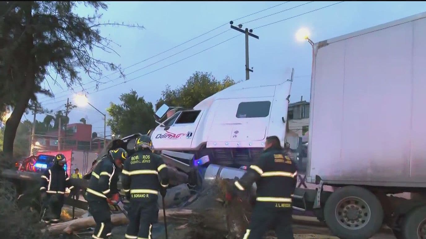 Tráiler Choca contra un Árbol en Iztacalco: Hay Afectaciones Viales en Esta Zona