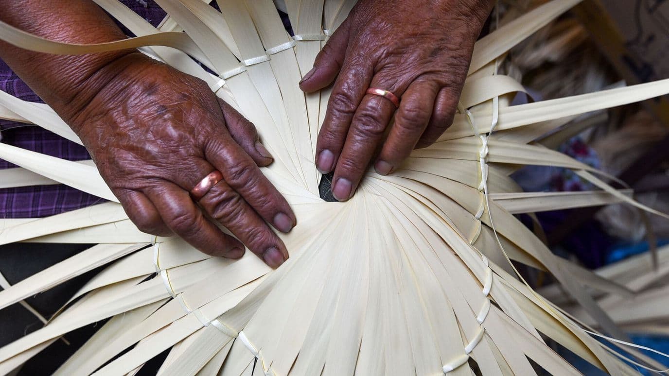 Palma Tejida a Mano: La Tradición Artesanal de Hidalgo