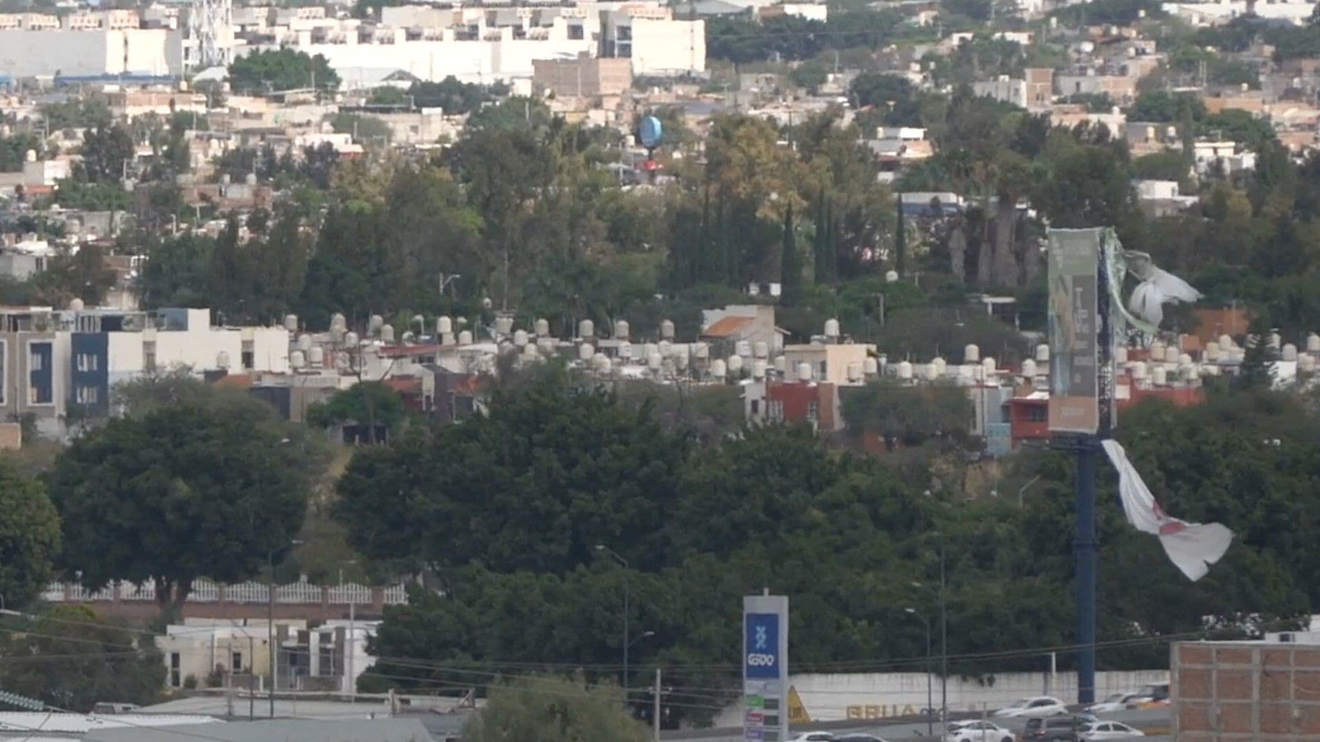 Más de 15 Árboles Fueron Derribados por los Fuertes Vientos en León