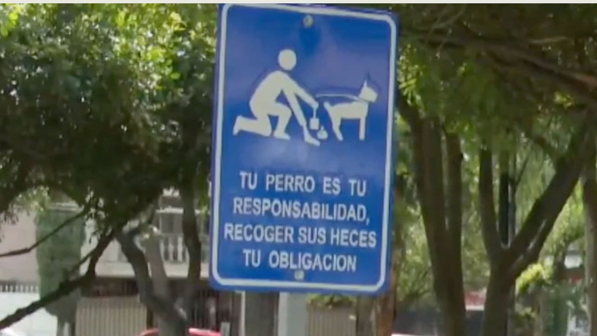 No Recoger Las Heces de tu Perro Podría Costarte Desde 900 Hasta Más de 2 Mil Pesos en León