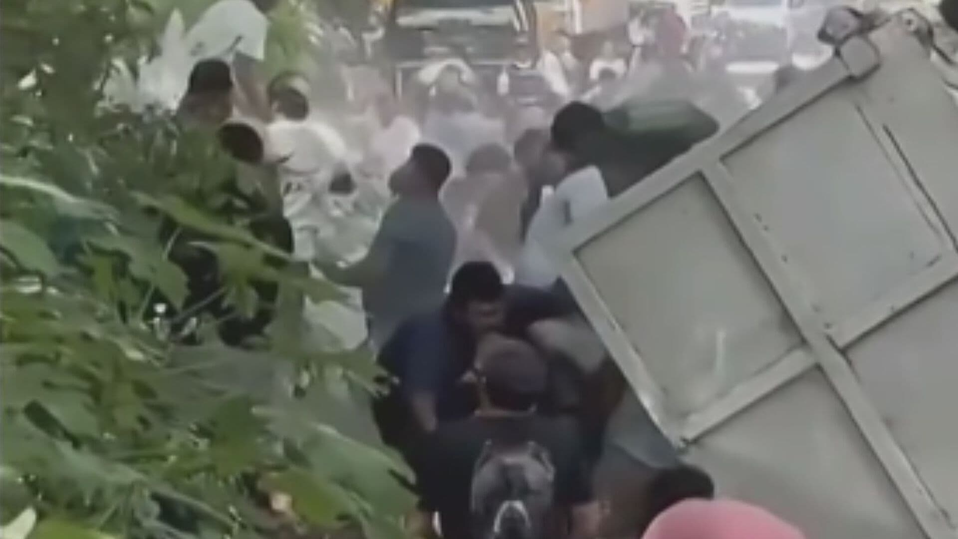 Video | Arrasan con Todo; Captan Rapiña en Carretera de Oaxaca