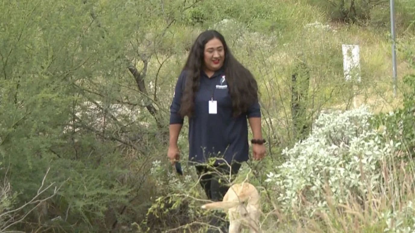 Cristal Colorado, La Guardiana Voluntaria del Cerro Johnson en Hermosillo