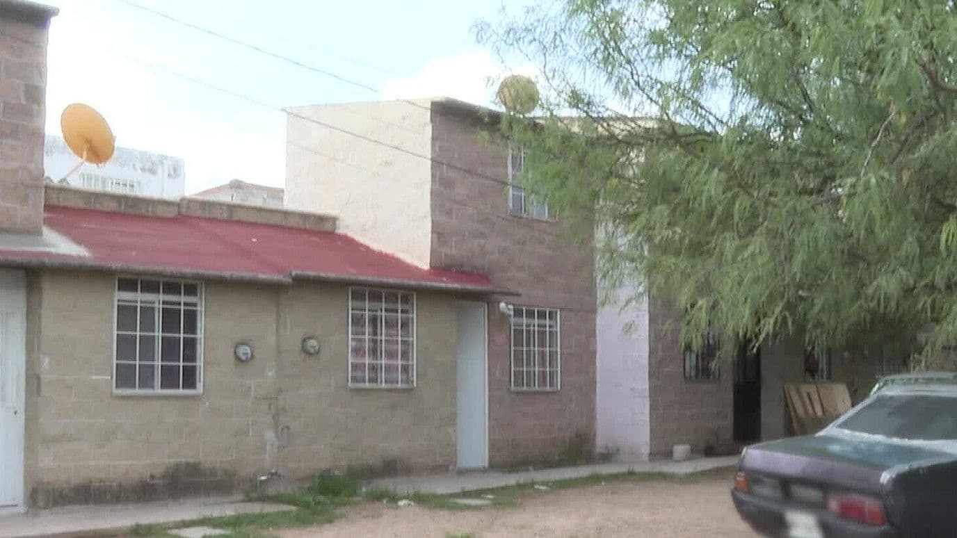 Autoridades Investigan a Policía que Mató a Perra Pitbull en Aguascalientes