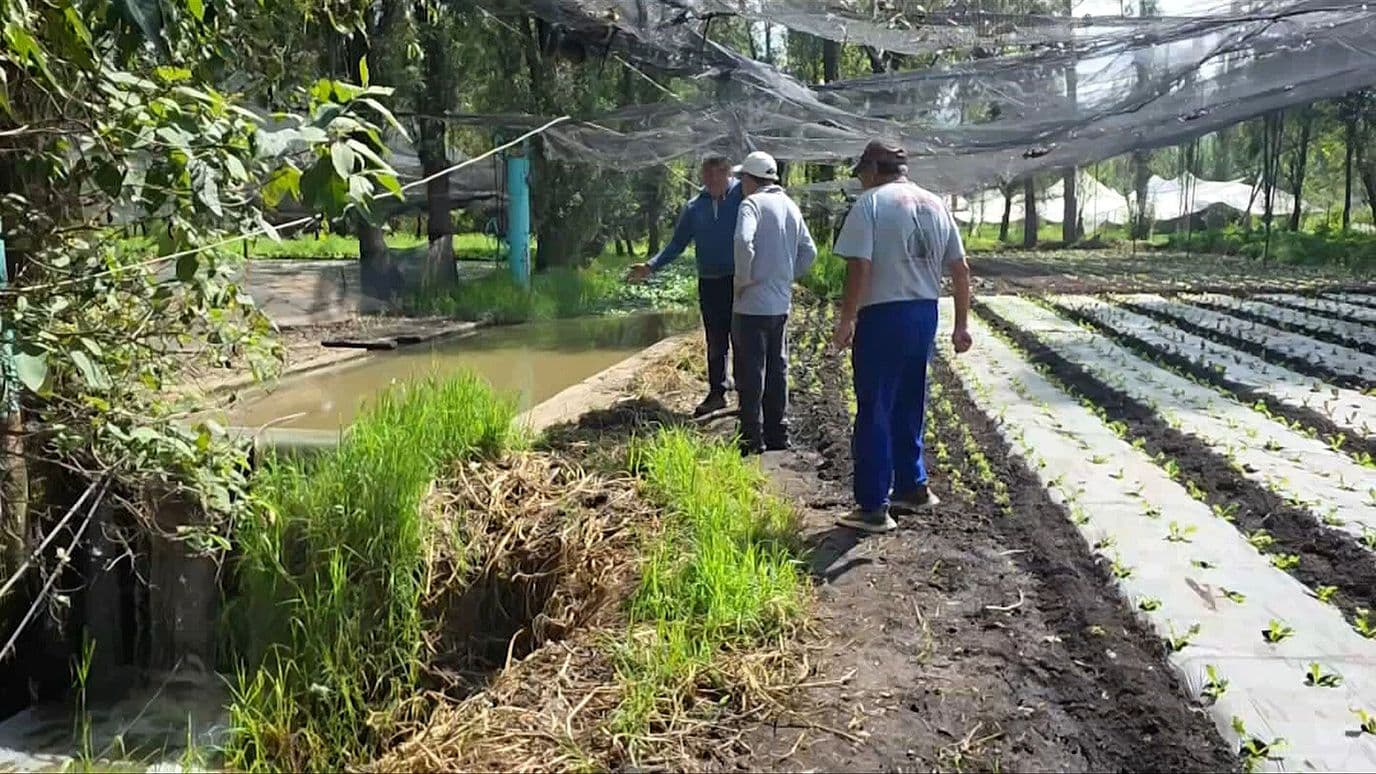 Contaminación Amenaza la Supervivencia de las Chinampas en Xochimilco, CDMX
