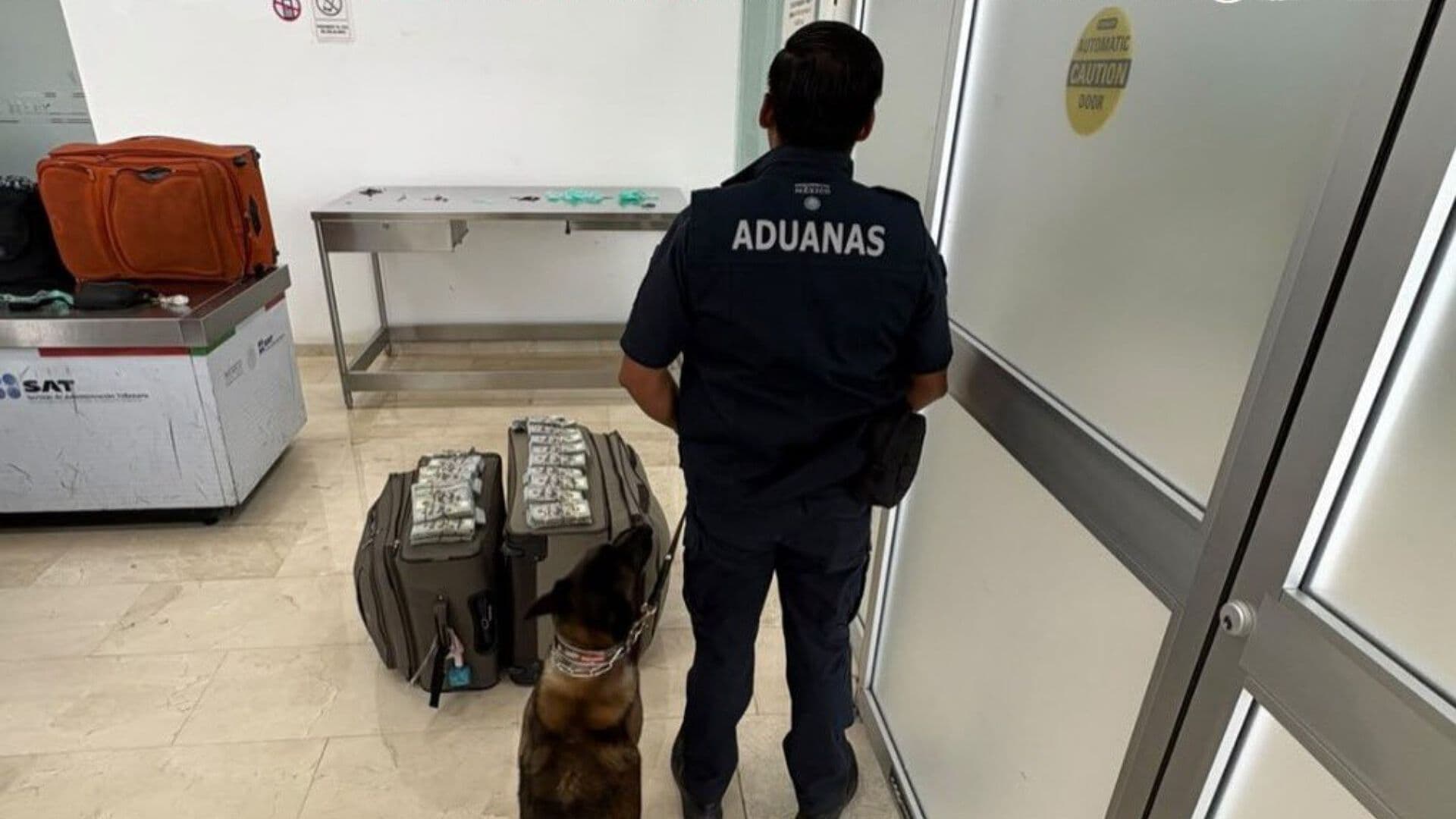 Detienen a Hombre que Portaba Más de 365 Mil Dólares en Aeropuerto de Oaxaca