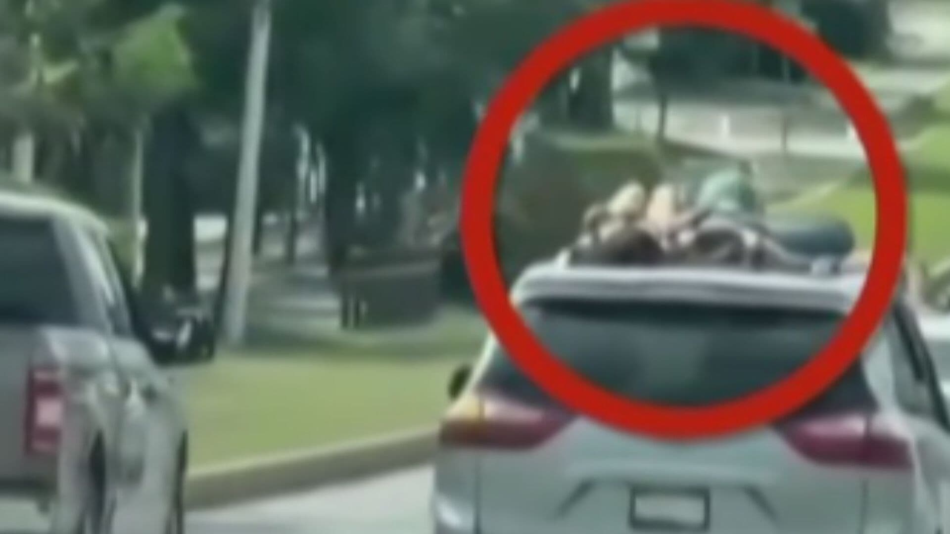 Video | Mujeres Viajan Arriba del Toldo de una Camioneta en Puebla