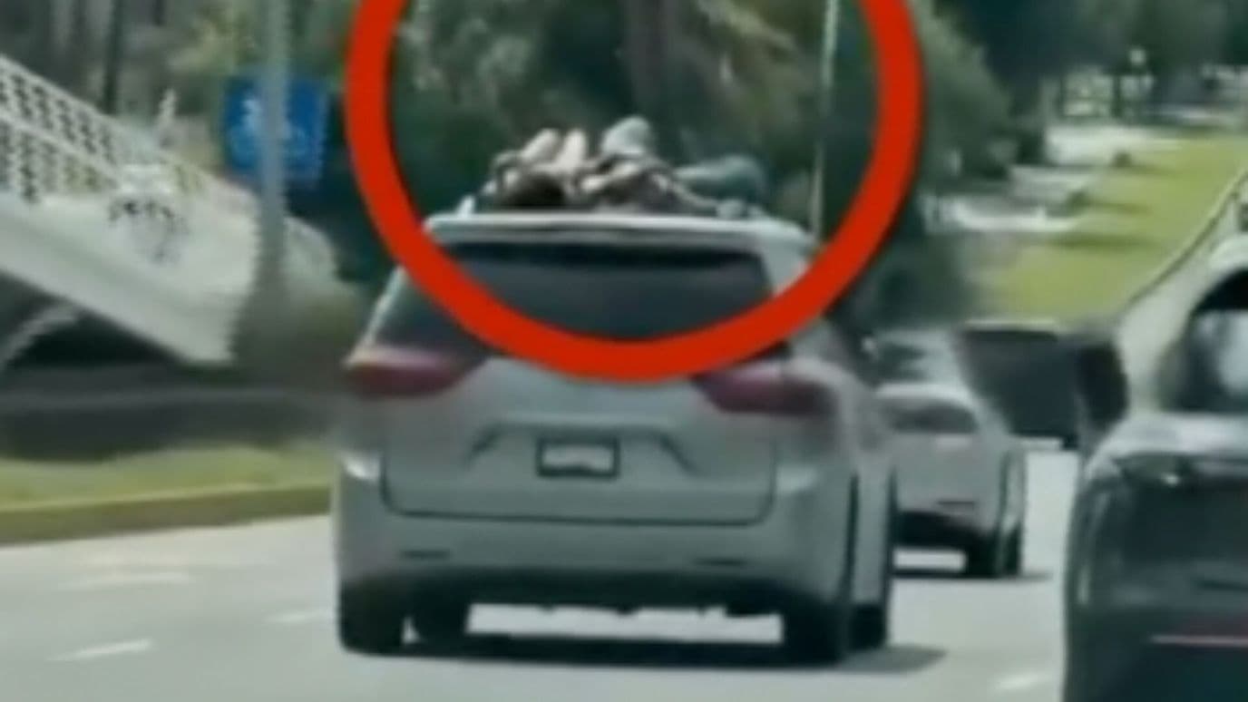 Dos Mujeres Jóvenes Acostadas Techo Camioneta Vía Atlixcáyotl Puebla