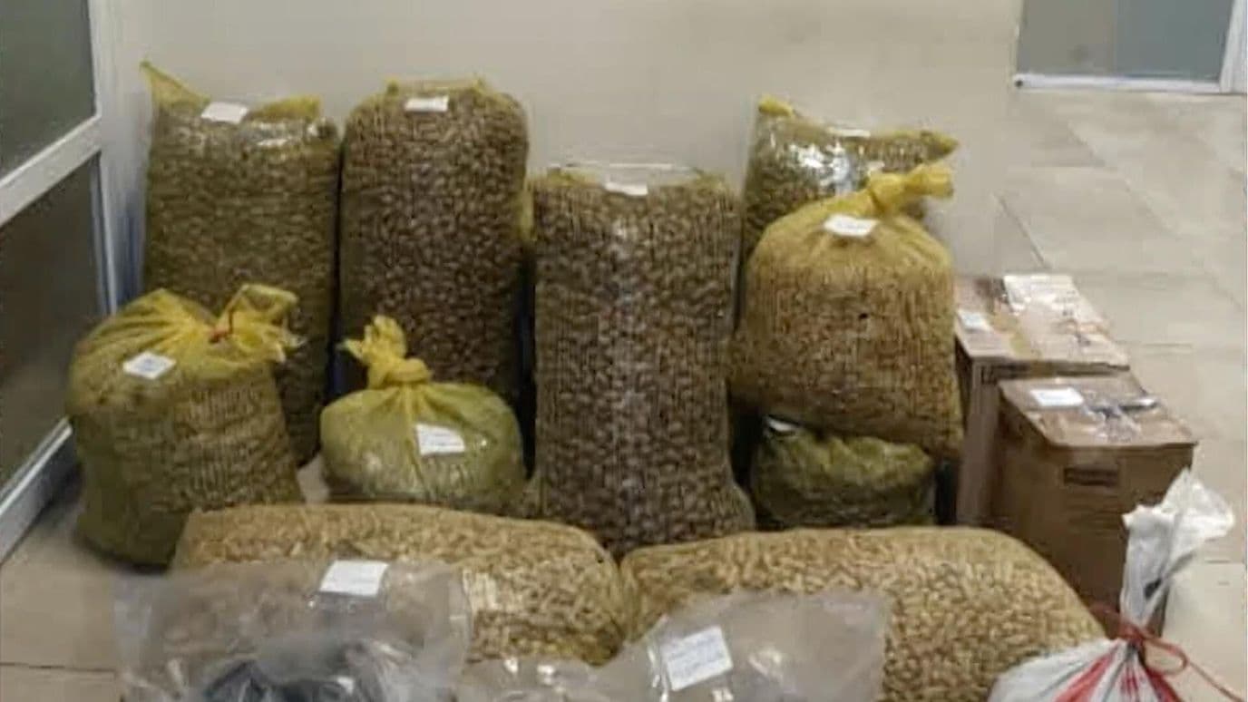 Detienen a Dos Hombres con 500 Kilos de Cosecha en Parral, Chihuahua