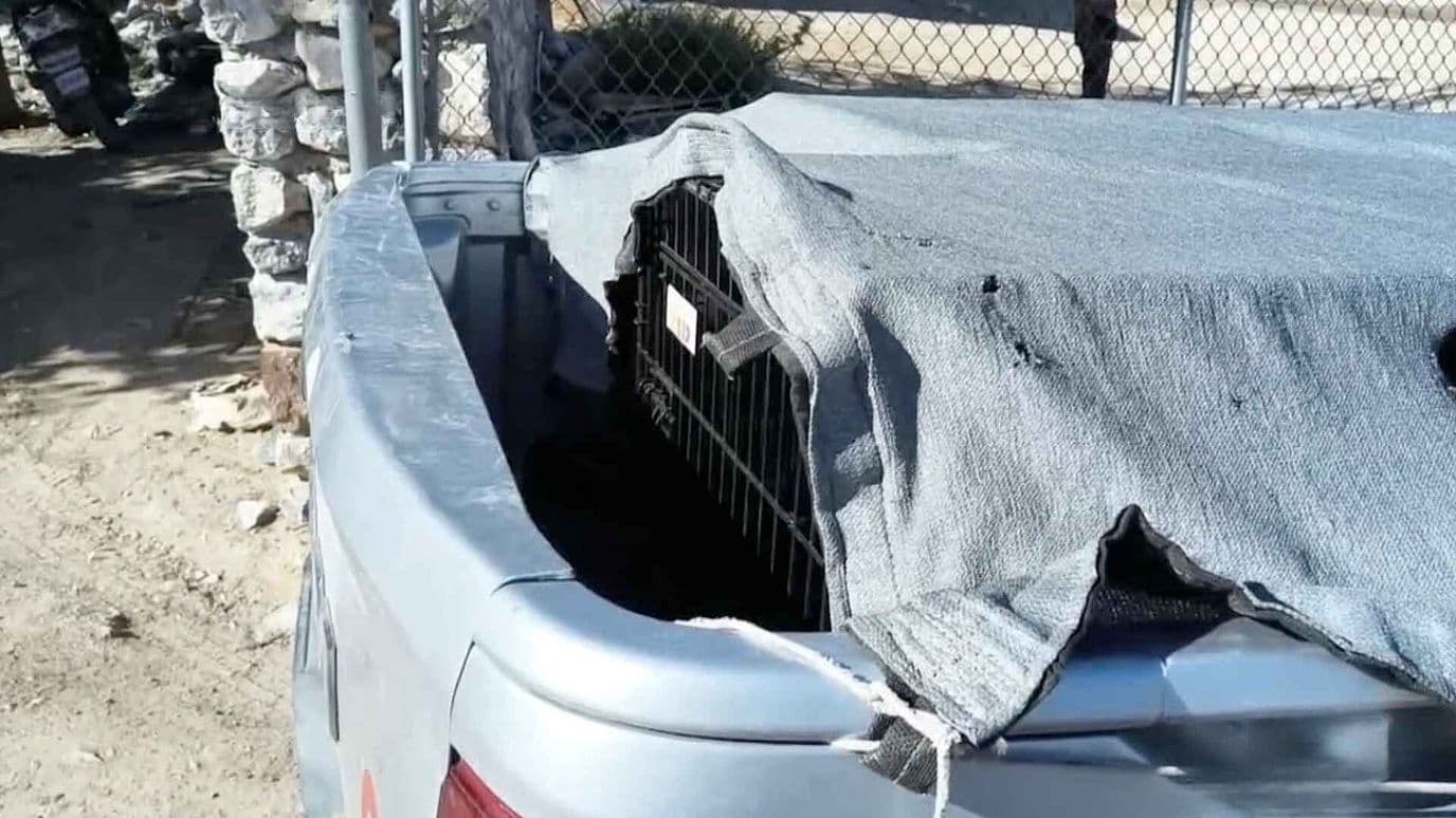 Sujeto Dispara Contra el Perro de su Vecino en Ciudad Juárez