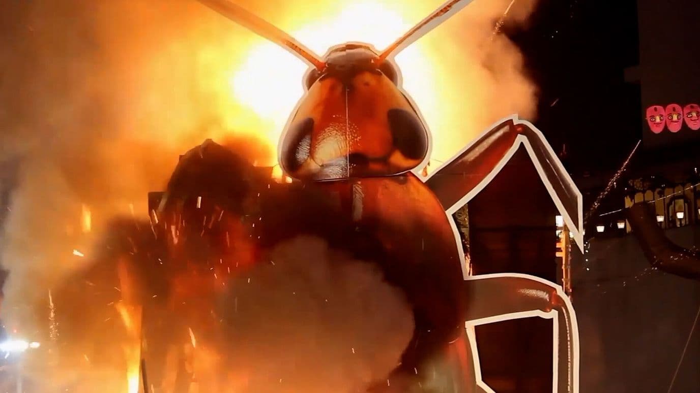 Queman Cucaracha Gigante en la India en Burla contra el Partido Popular Cucaracha