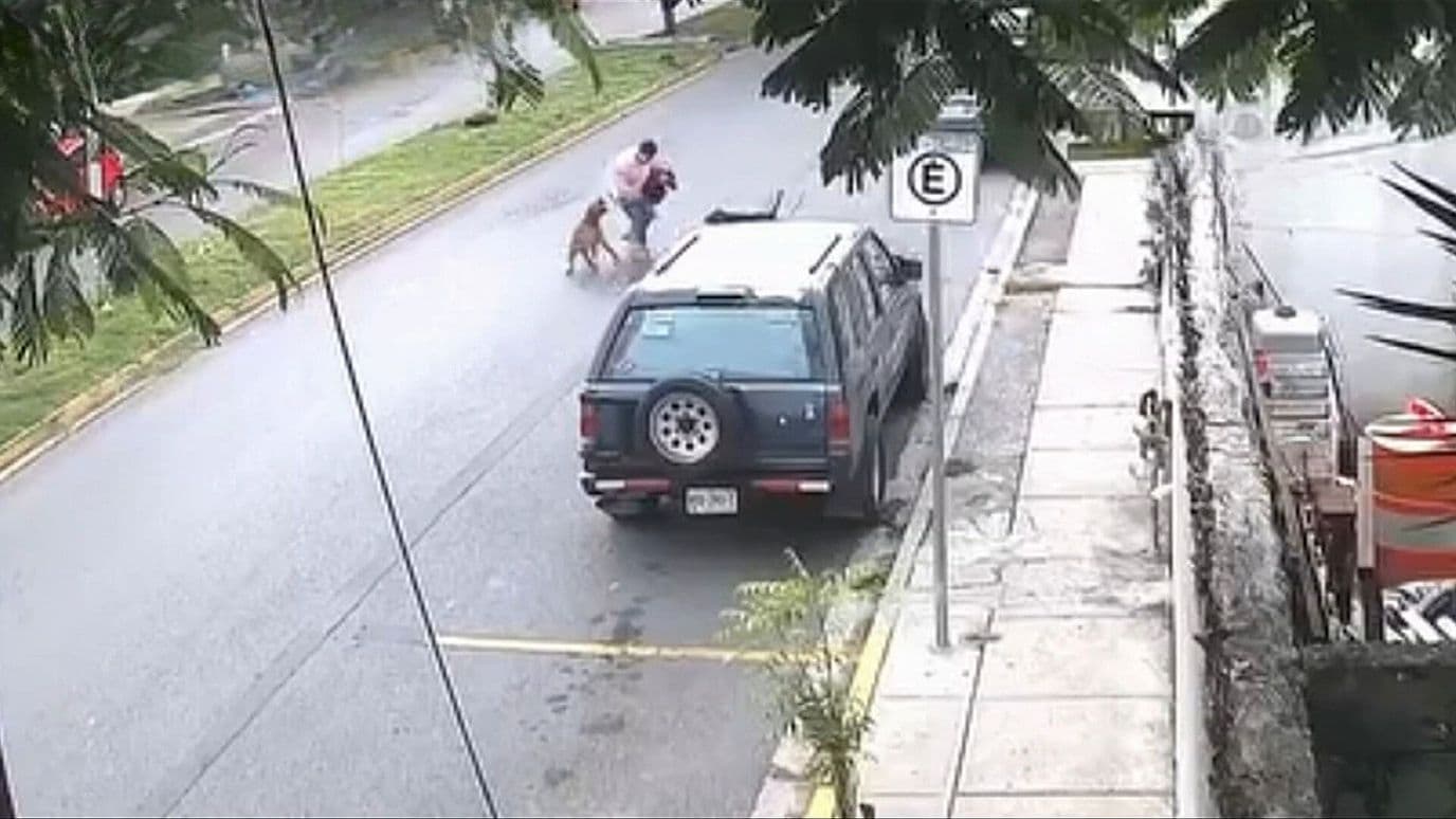 Video: Perros Atacan y Muerden Varias Veces a una Mujer en Nuevo León