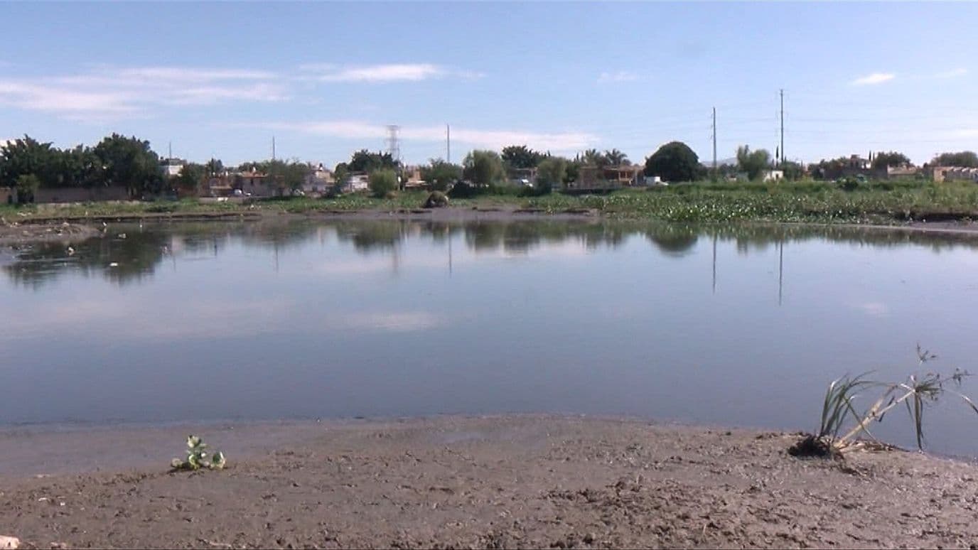 Presa 'Las Pintas' en Jalisco se Sufre por Aroma e Infecciones