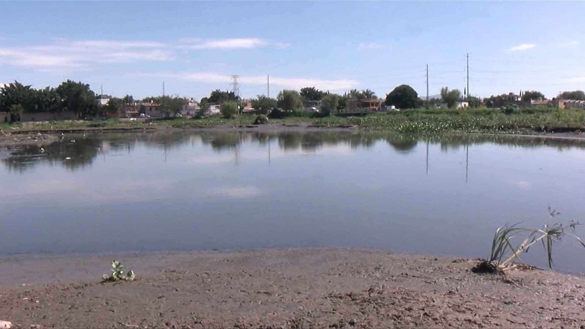 Presa 'Las Pintas' en Jalisco se Sufre por Aroma e Infecciones