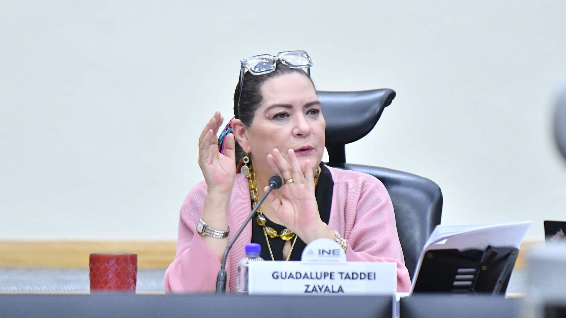 Piden a Guadalupe Taddei Separarse del Cargo; Ella Asegura que No Renunciará