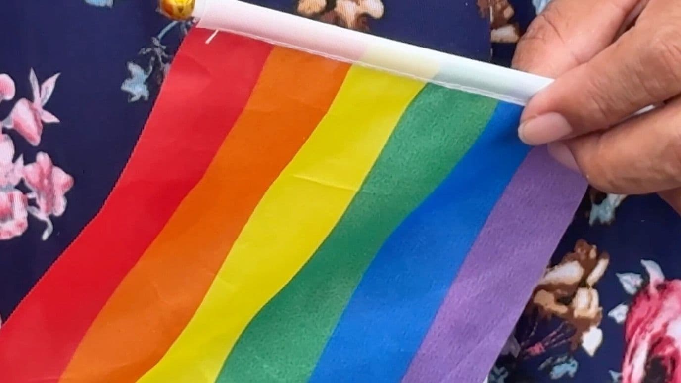 Importancia de los Pronombres de Género en la Sociedad Veracruzana