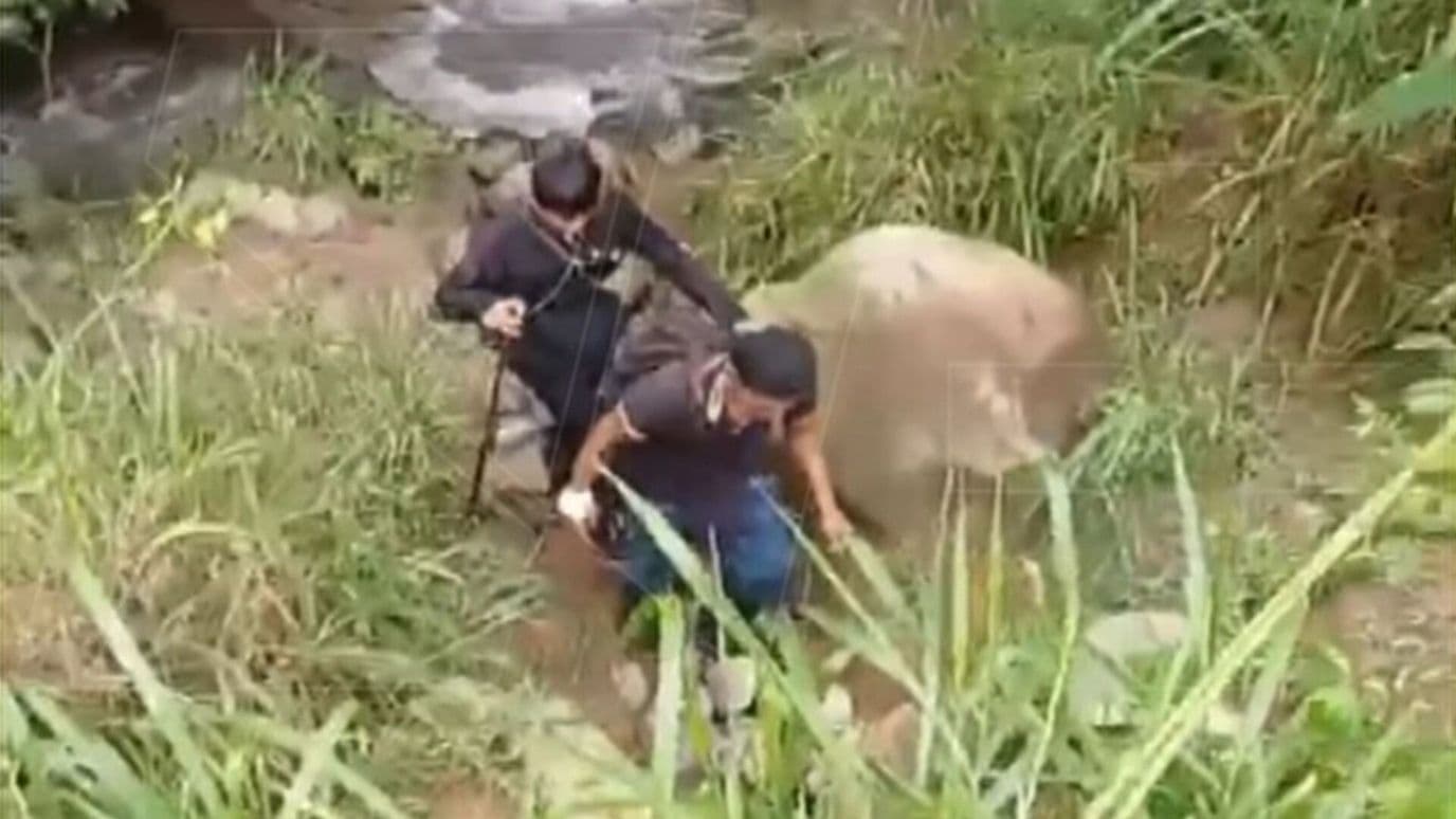 Hallan Muertas a Niña de 12 Años y a su Abuela Desaparecidas en Chiapas