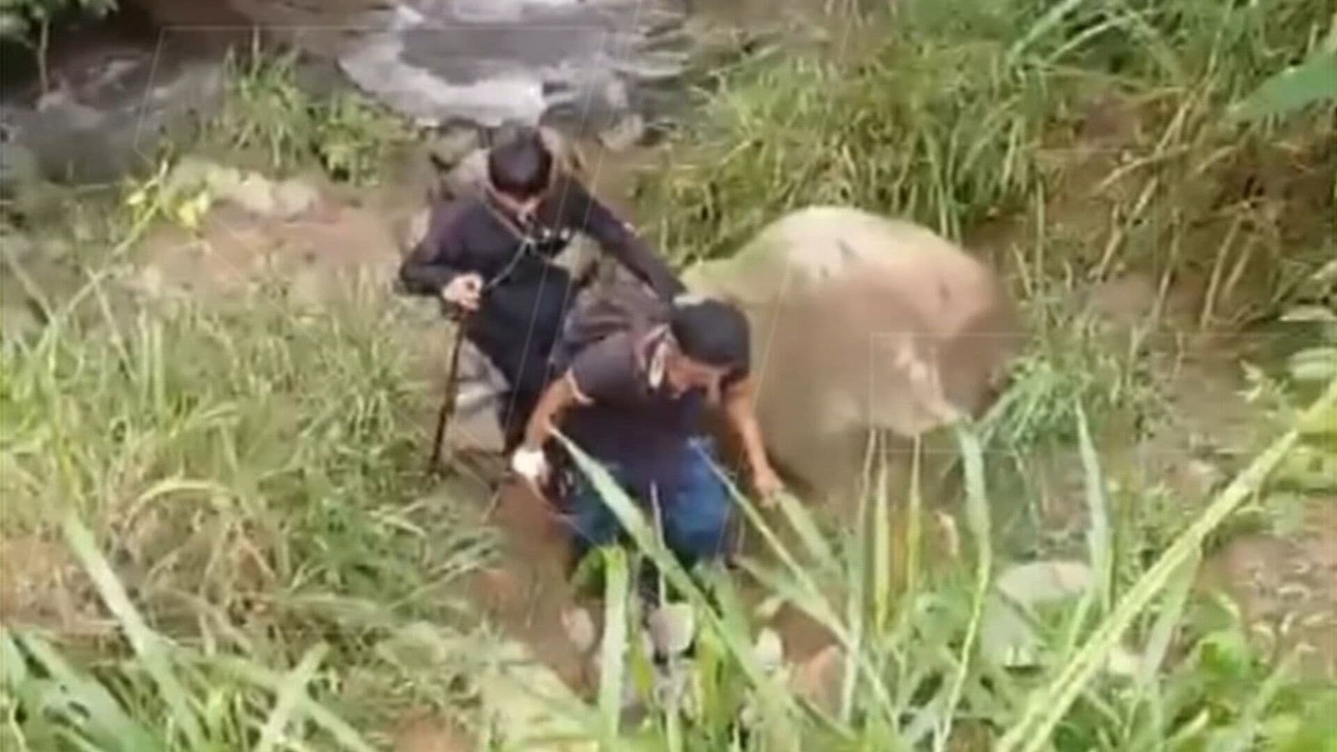 Hallan Muertas a Niña de 12 Años y a su Abuela Desaparecidas en Chiapas