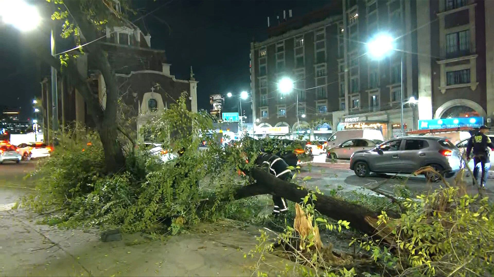 Colapsa Enorme Árbol en Izazaga y Eje Central en CDMX, ¿Cómo Pasó?