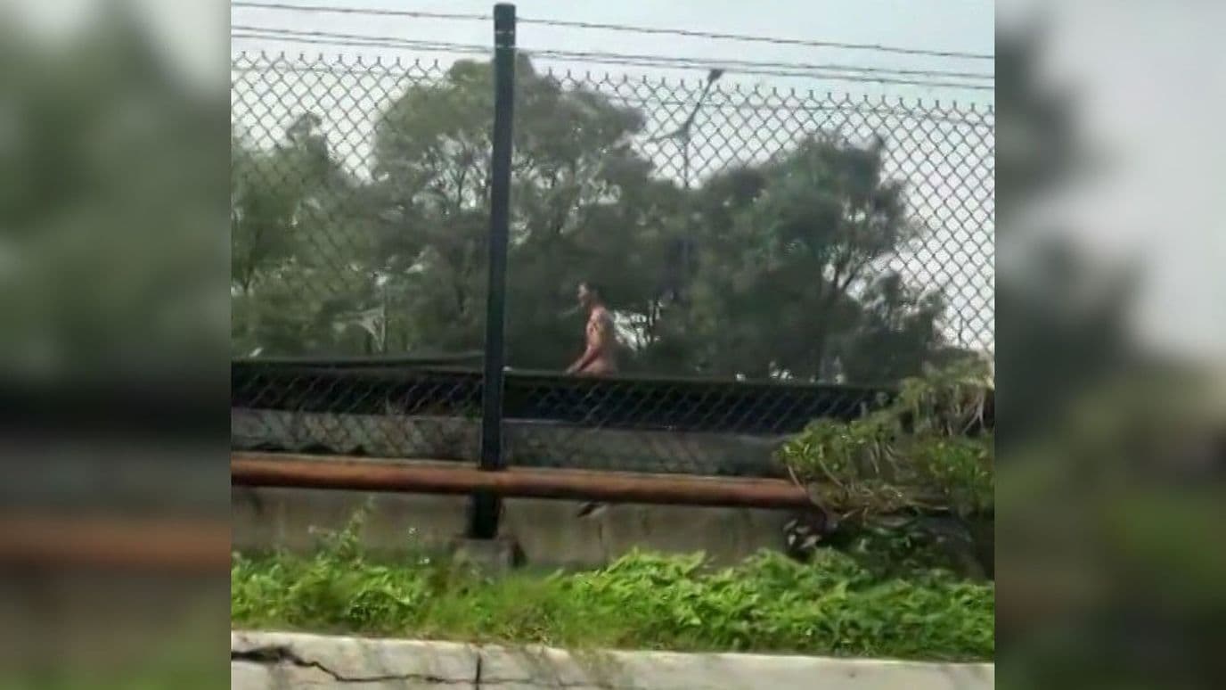 Rescatan a Hombre que Ingresó a las Vías de la Línea 2 del Metro CDMX