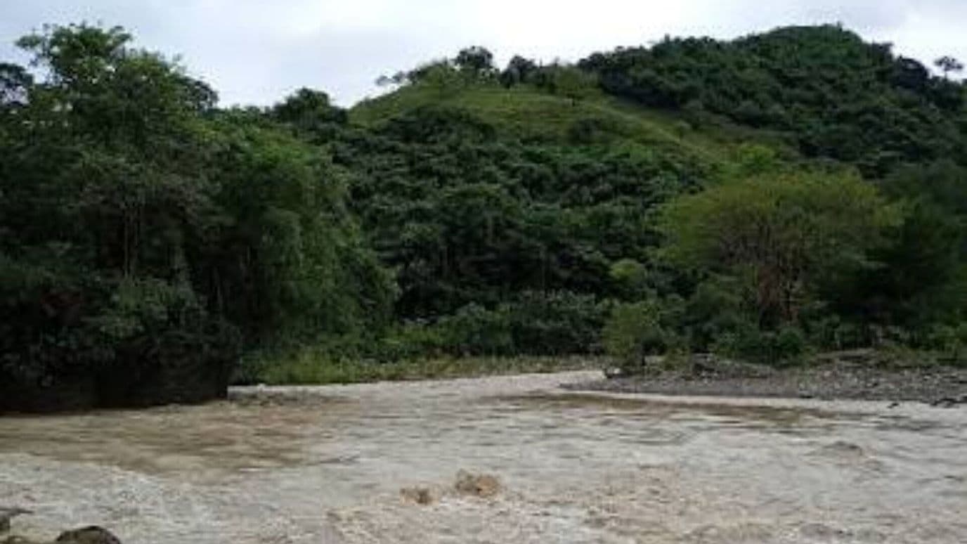 Río Contaminado por Vísceras de Cerdo en Nauzontla Puebla Urge Atención