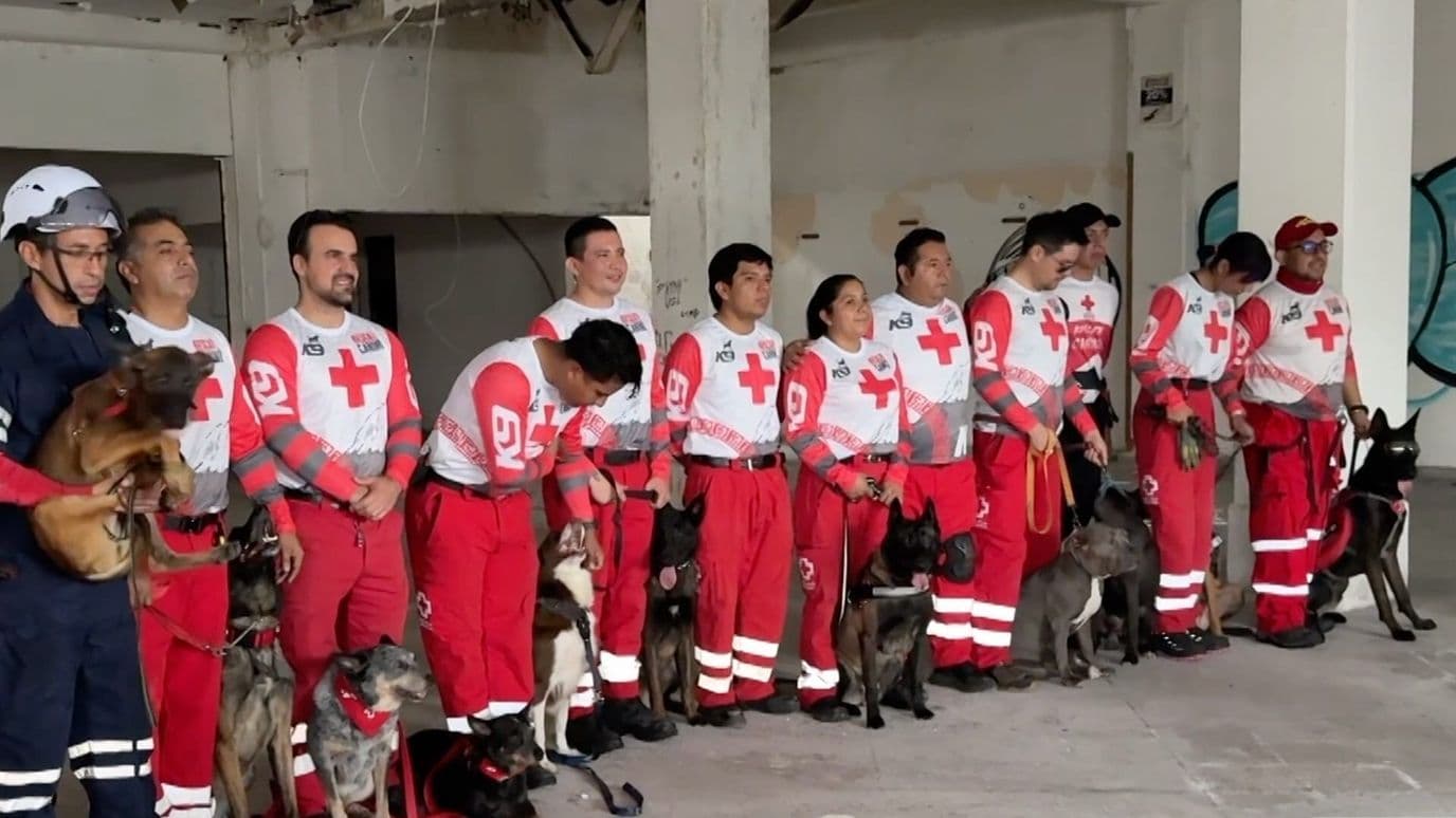 Cruz Roja Veracruz Cuenta con Binomios Caninos Certificados Nacional e Internacionalmente