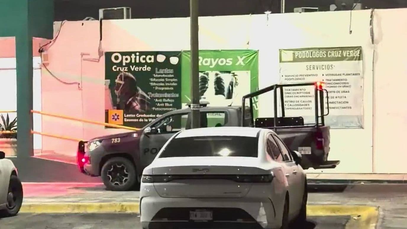Muere Adulto Mayor por Ataque de Abejas en Col. Hacienda Renacimiento