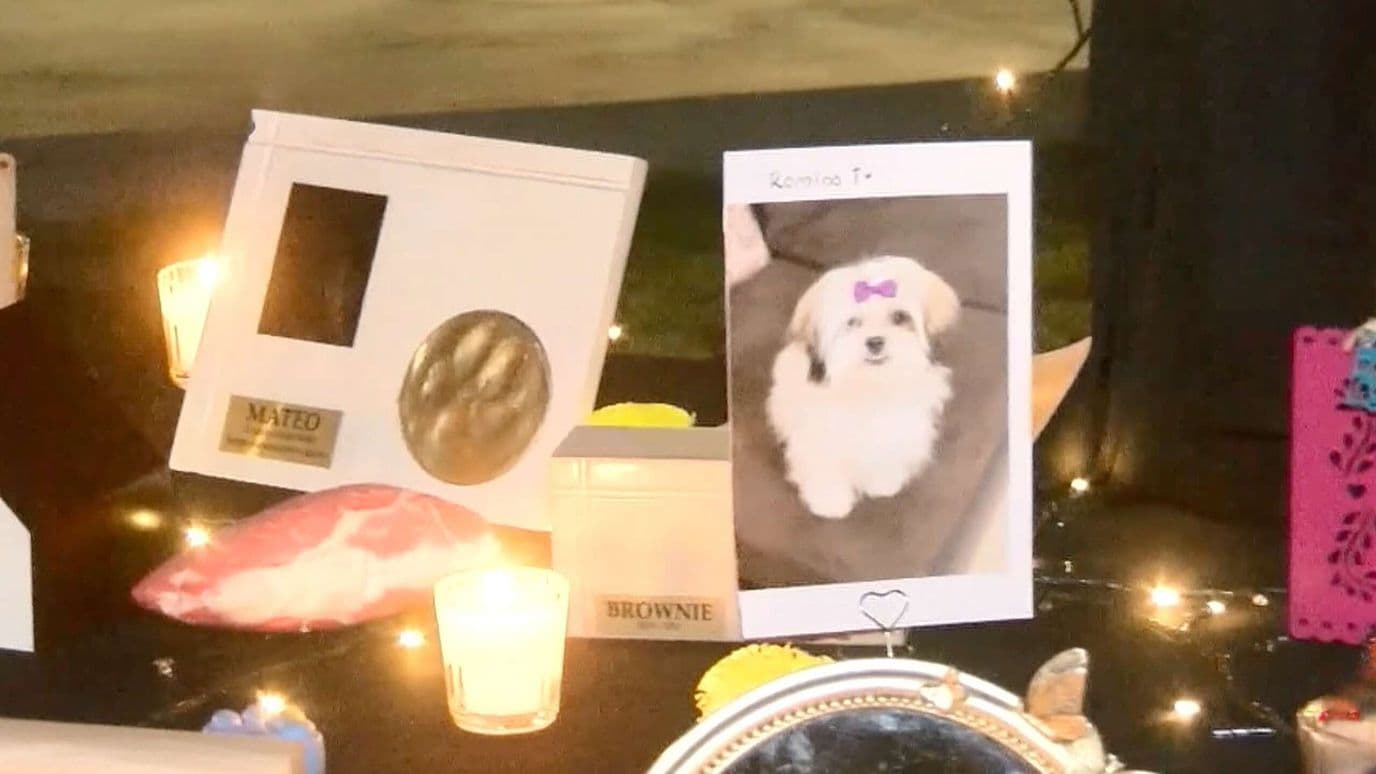 Realizarán Ceremonia en Ciudad Juárez Para Recordar a Mascotas Fallecidas
