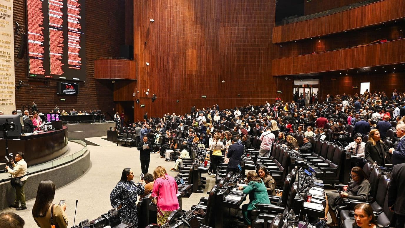 Recibe la Cámara de Diputados la Renuncia Formal de Guadalupe Taddei
