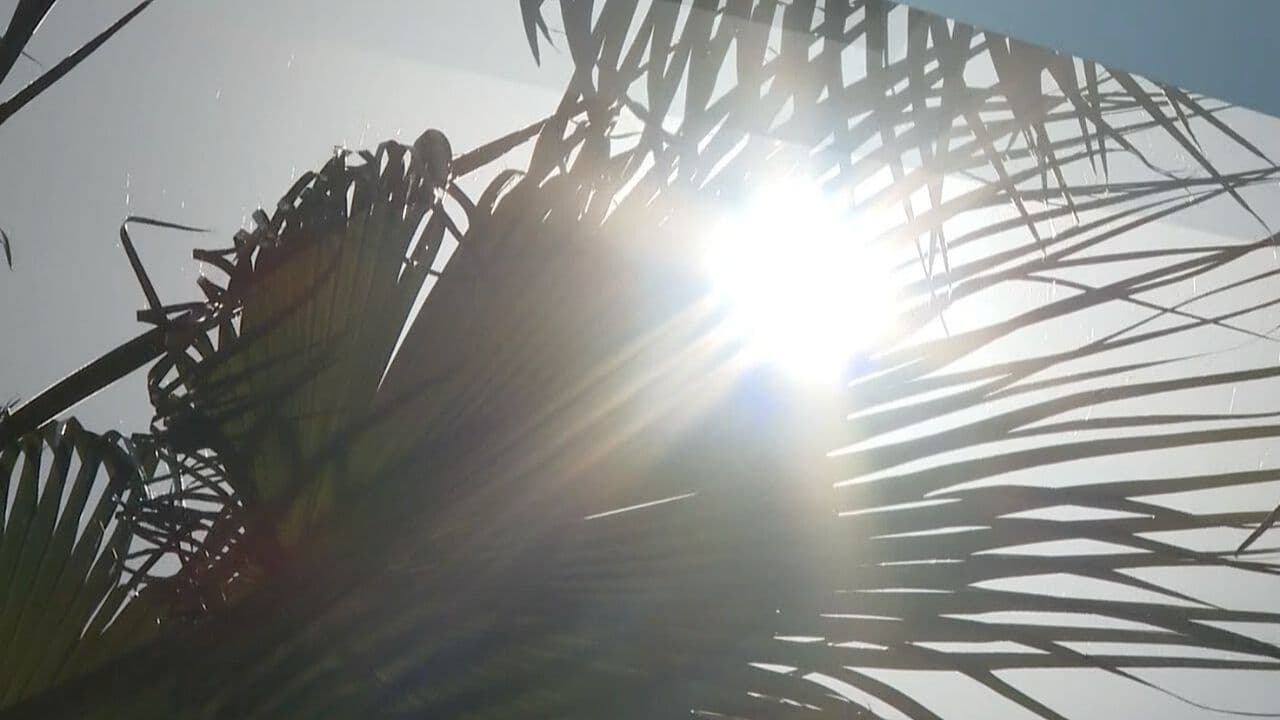 Sonora Tendrá Temperaturas de Hasta 40 Grados y Amaneceres Frescos