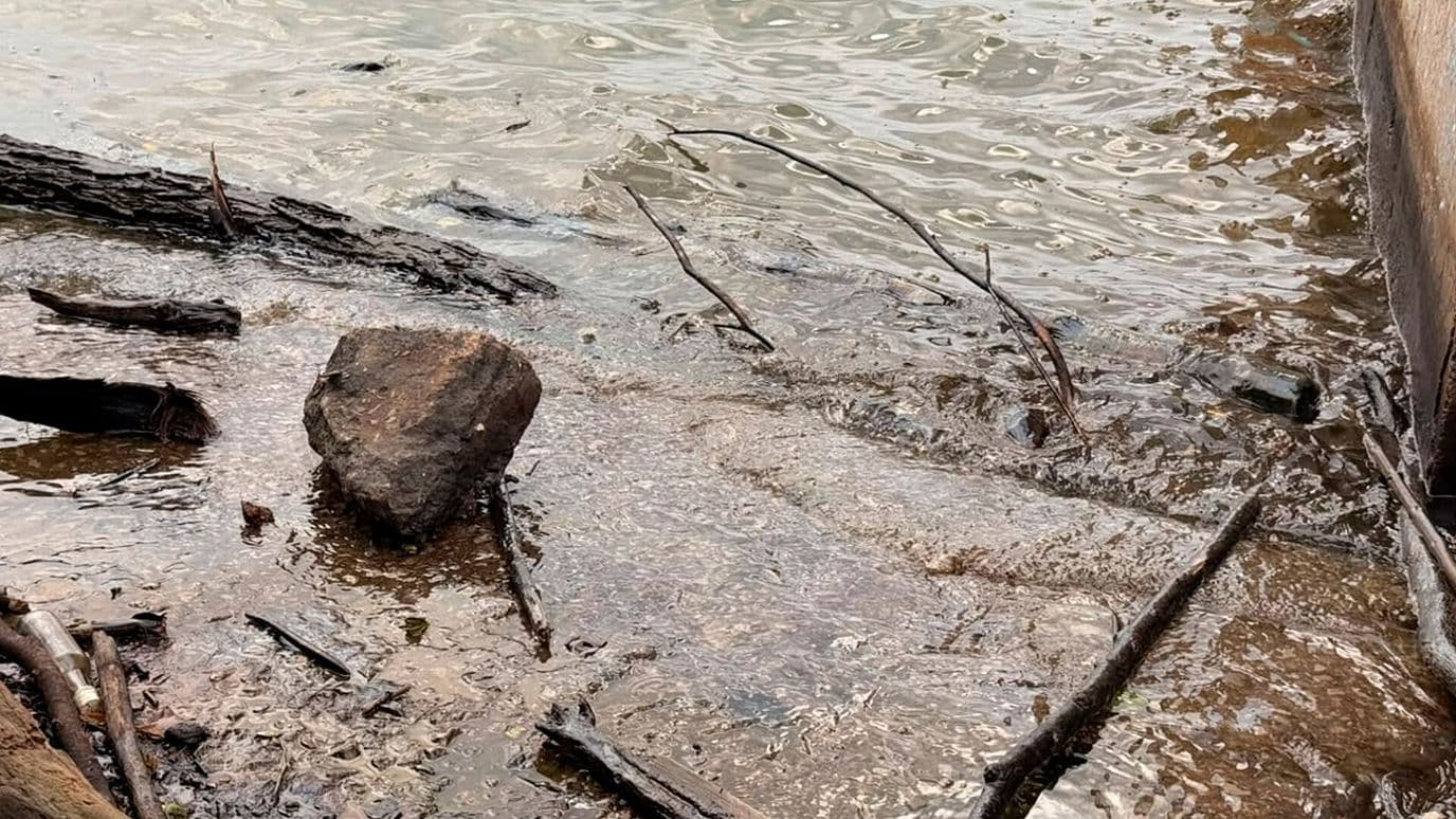 Pescadores Alertan por Nuevo Derrame de Hidrocarburo en el Río Pánuco