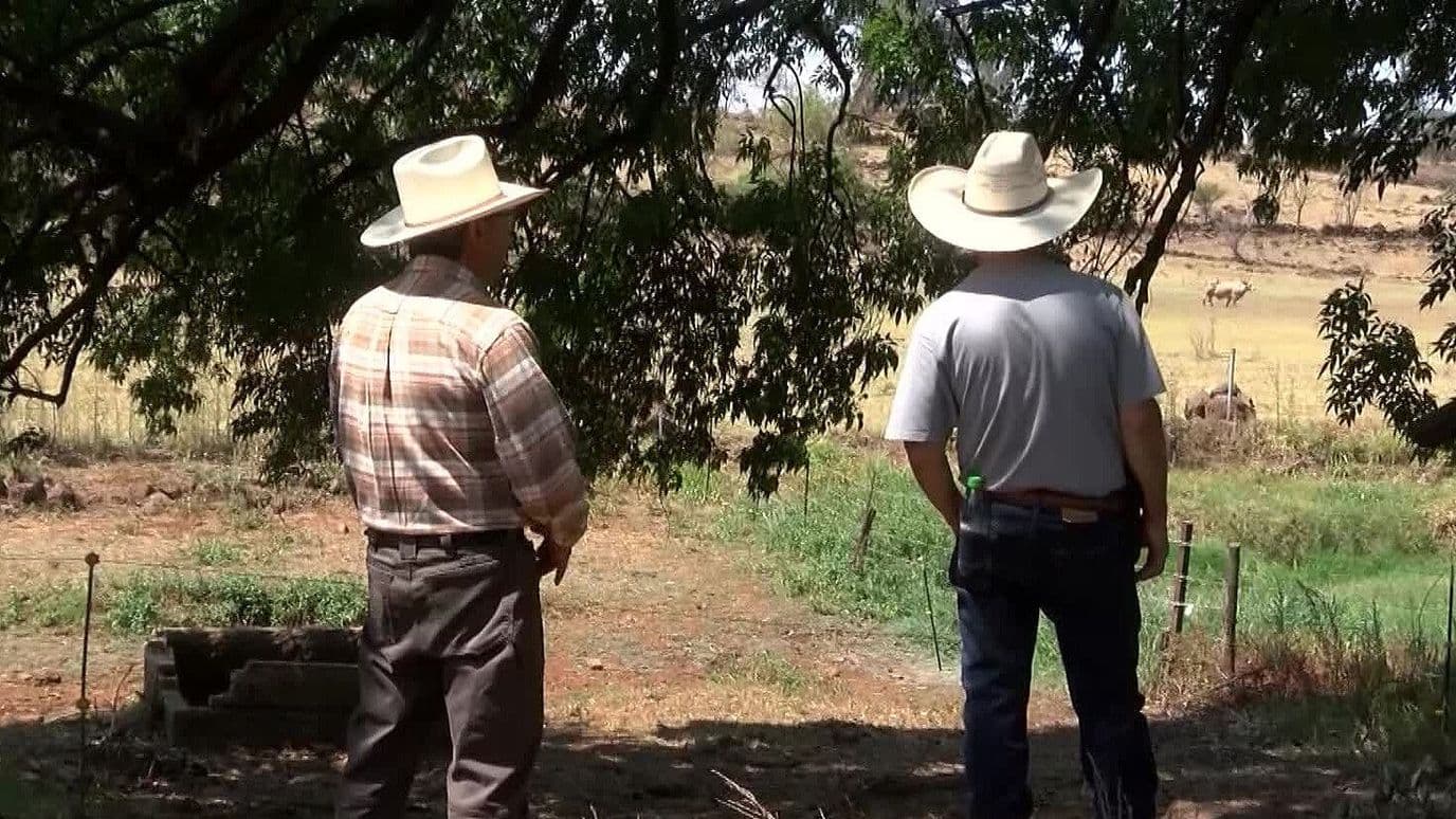 Campesinos de Jalisco Exigen Precio de Garantía de 7 Mil 200 Pesos por Tonelada de Maíz