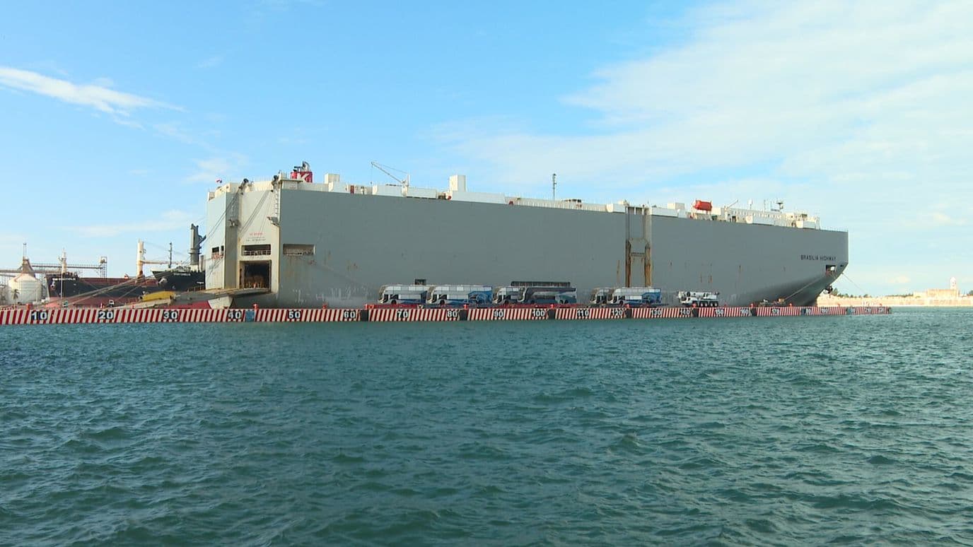 Operadores de Tráilers Denuncian Demora para Ingresar a Recinto Portuario de Veracruz