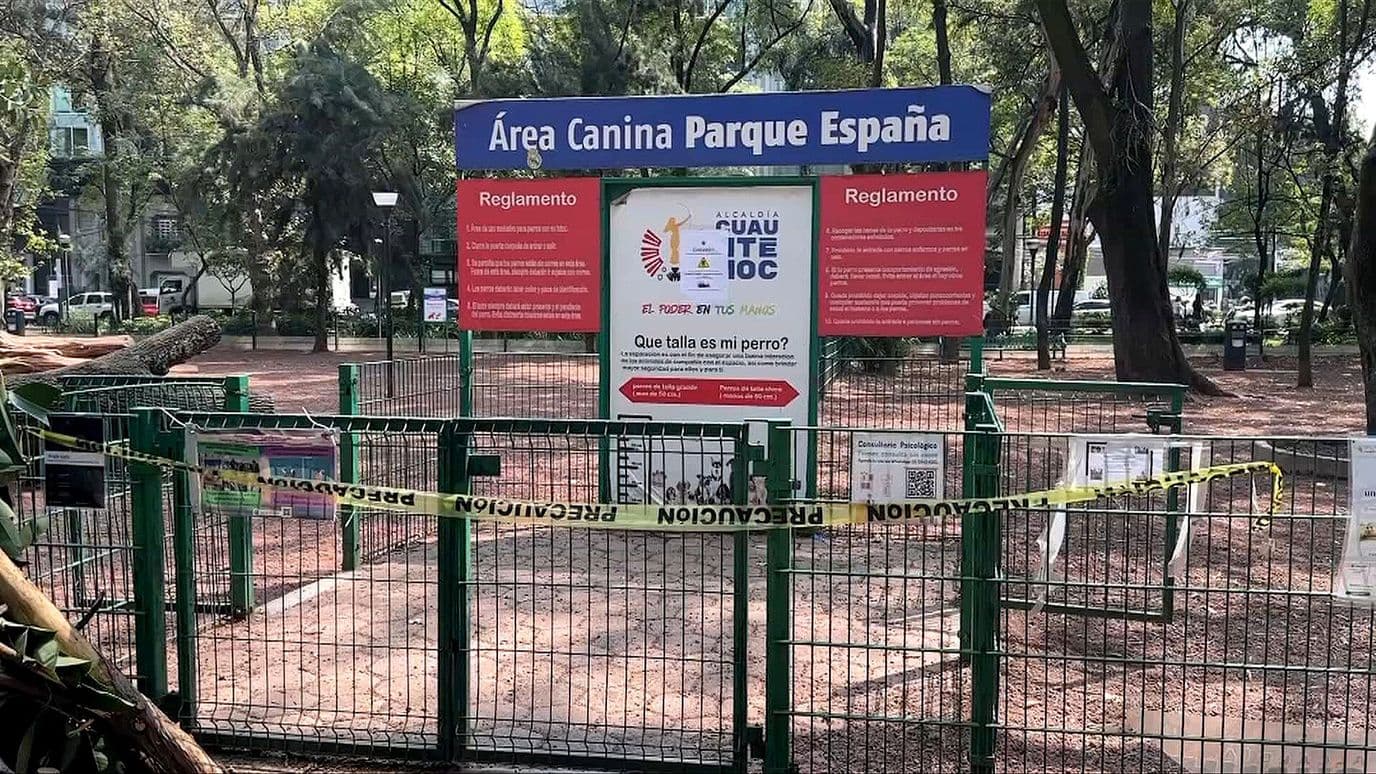 Investigan el Envenenamiento de Perros en el Parque España de la CDMX