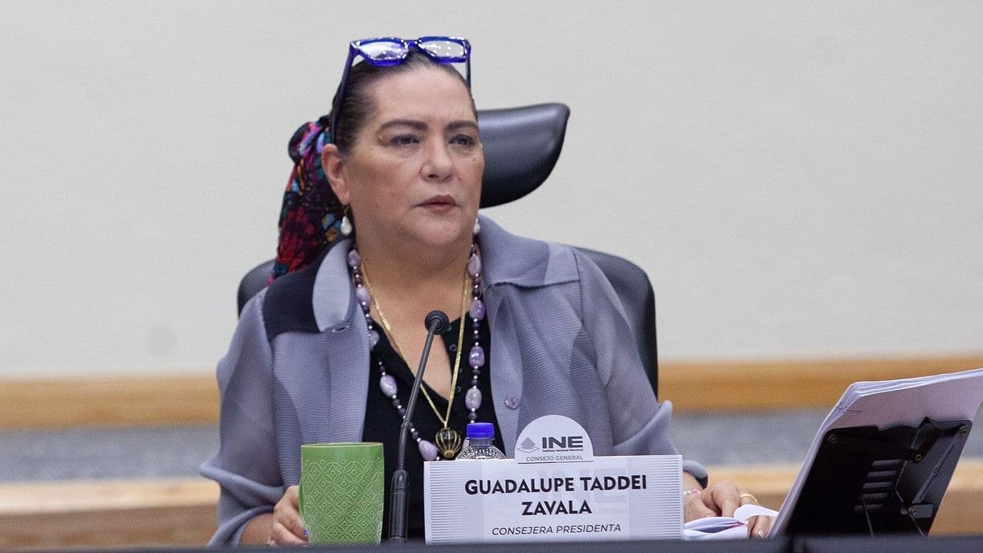 Ley de Instituciones y Procedimientos Electorales 2024: ¿Cuáles Eran los Superpoderes de Taddei?
