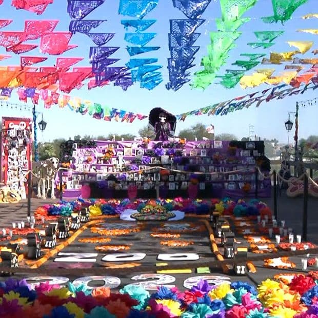 Bosque de Mexicali Dedica Altar Monumental a Mascotas por Día de Muertos 2026