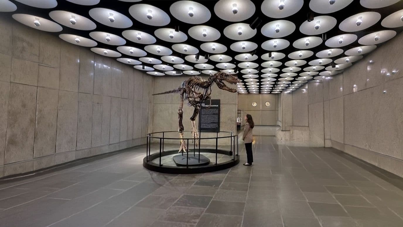 Esqueleto de Dinosaurio se Vende en Más de 40 Millones de Dólares