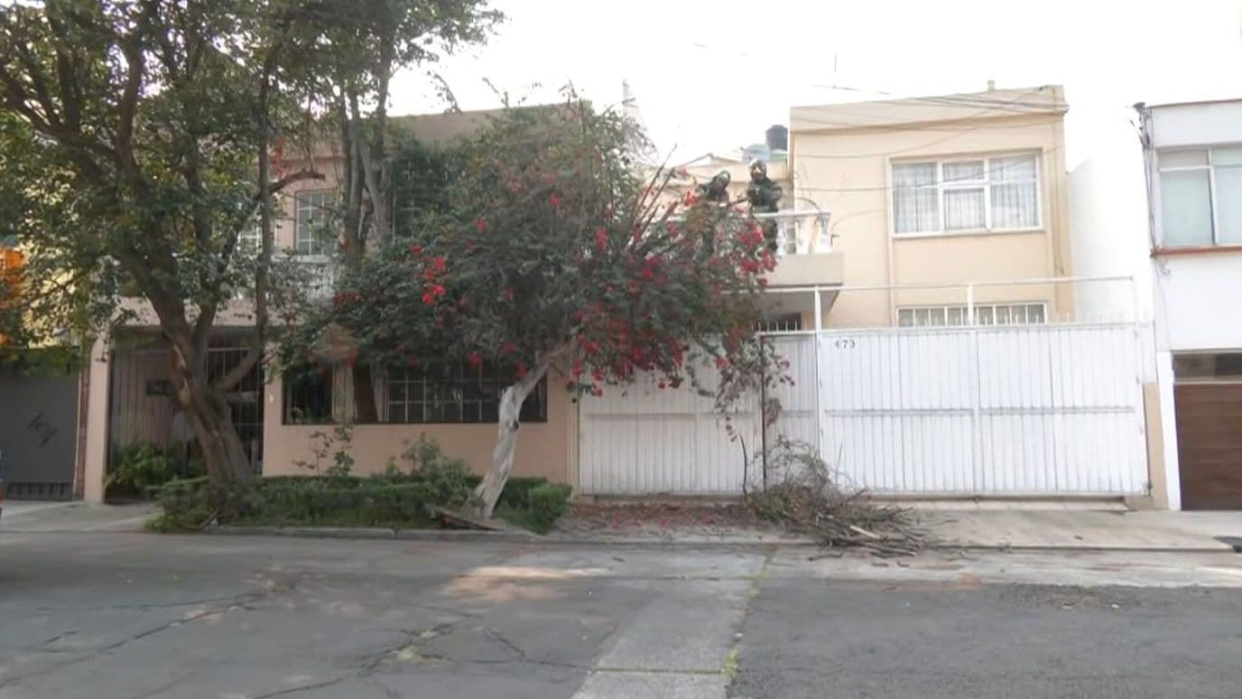 Árbol a punto de Caer Moviliza Cuerpos de Emergencia en Benito Juárez, CDMX