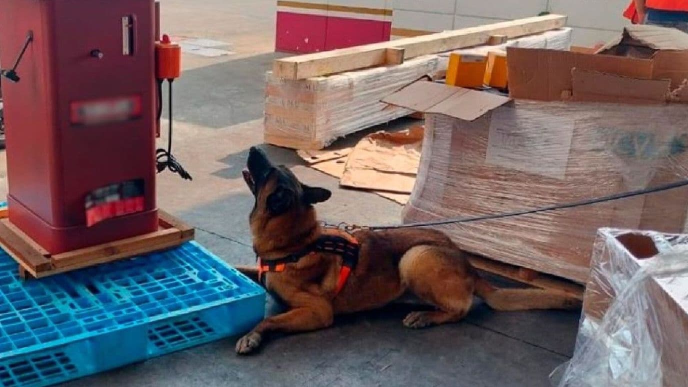 Aseguran 10 Kilos de Metanfetamina en Aeropuerto de la Ciudad de México
