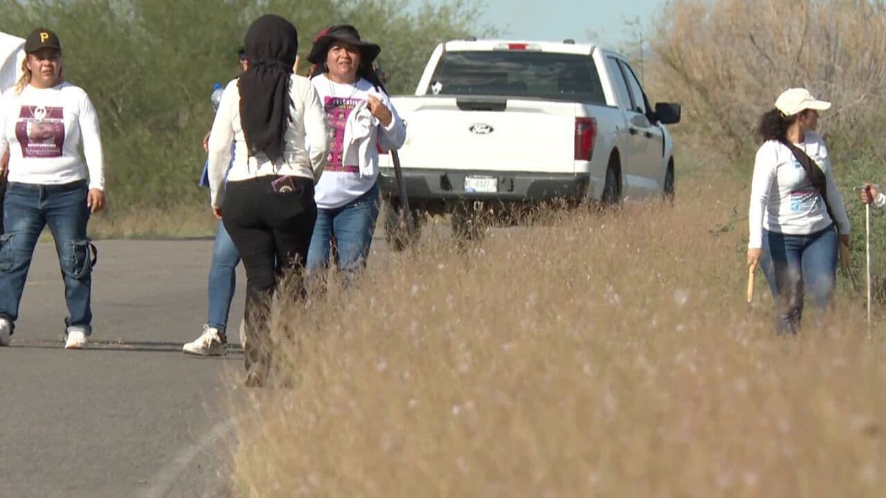 Colectivos de Búsqueda de Sonora y Sinaloa Exigen Identificar Cuerpos y Más Apoyo