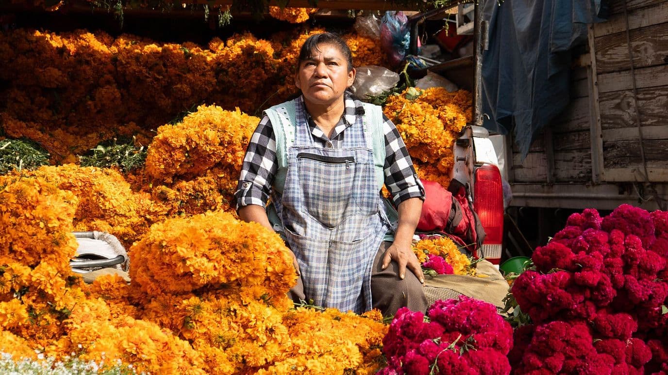 Mercado de Jamaica: Todo lo que Necesitas para tu Ofrenda de Día de Muertos