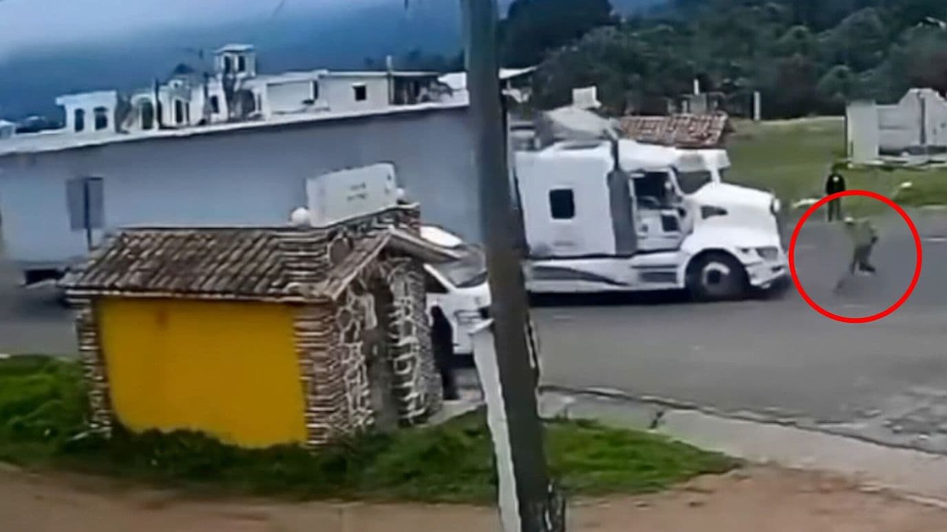 Video Momento Pasajero Atropellado Tráiler Carretera Chignahuapan Tlaxco Puebla