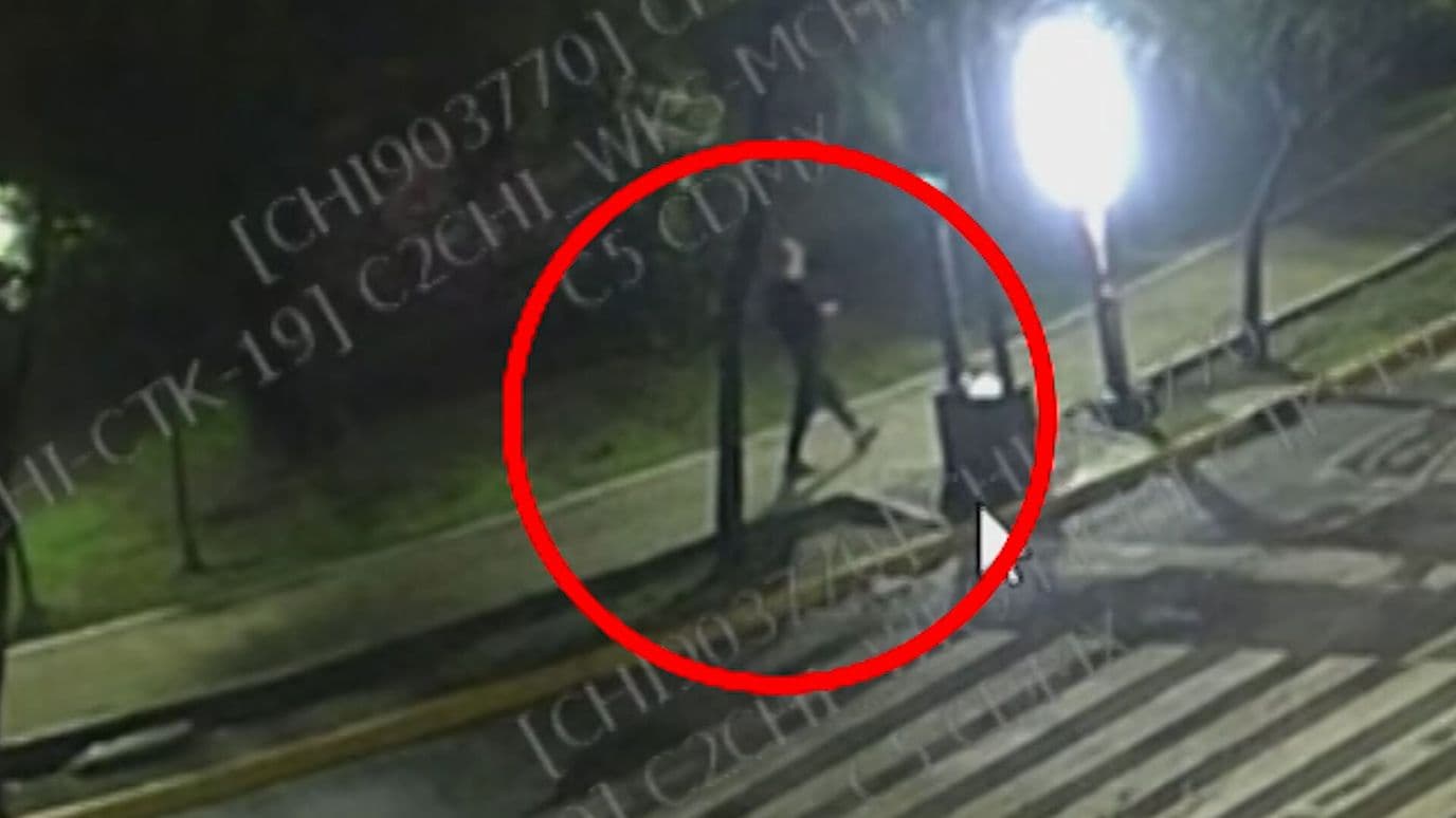 Cámara Capta al Presunto 'El Mata Perros de la Condesa' Tirando Comida Envenenada