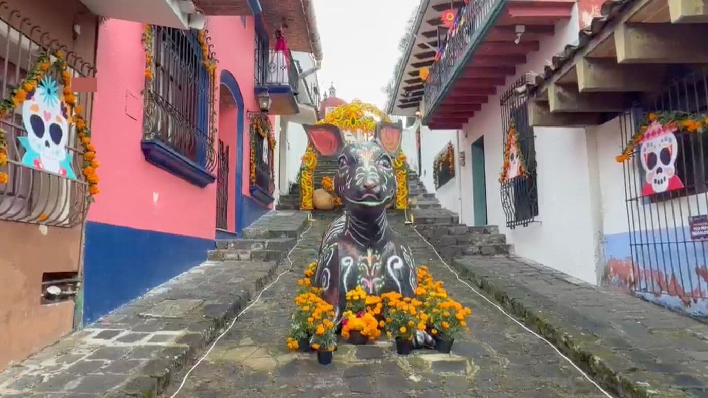 Así Luce el Callejón ‘Jesús te Ampare’ por Día de Muertos en Xalapa