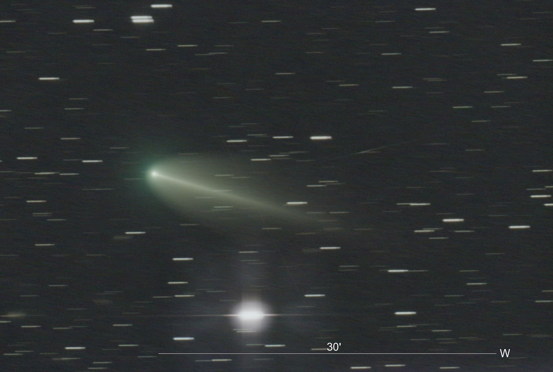 Cometa 220P/McNaught