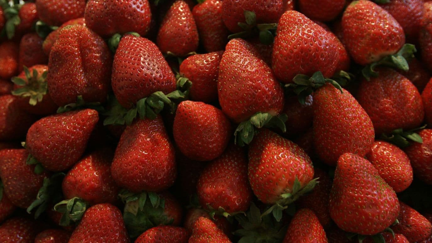 Cultivo de fresas en México