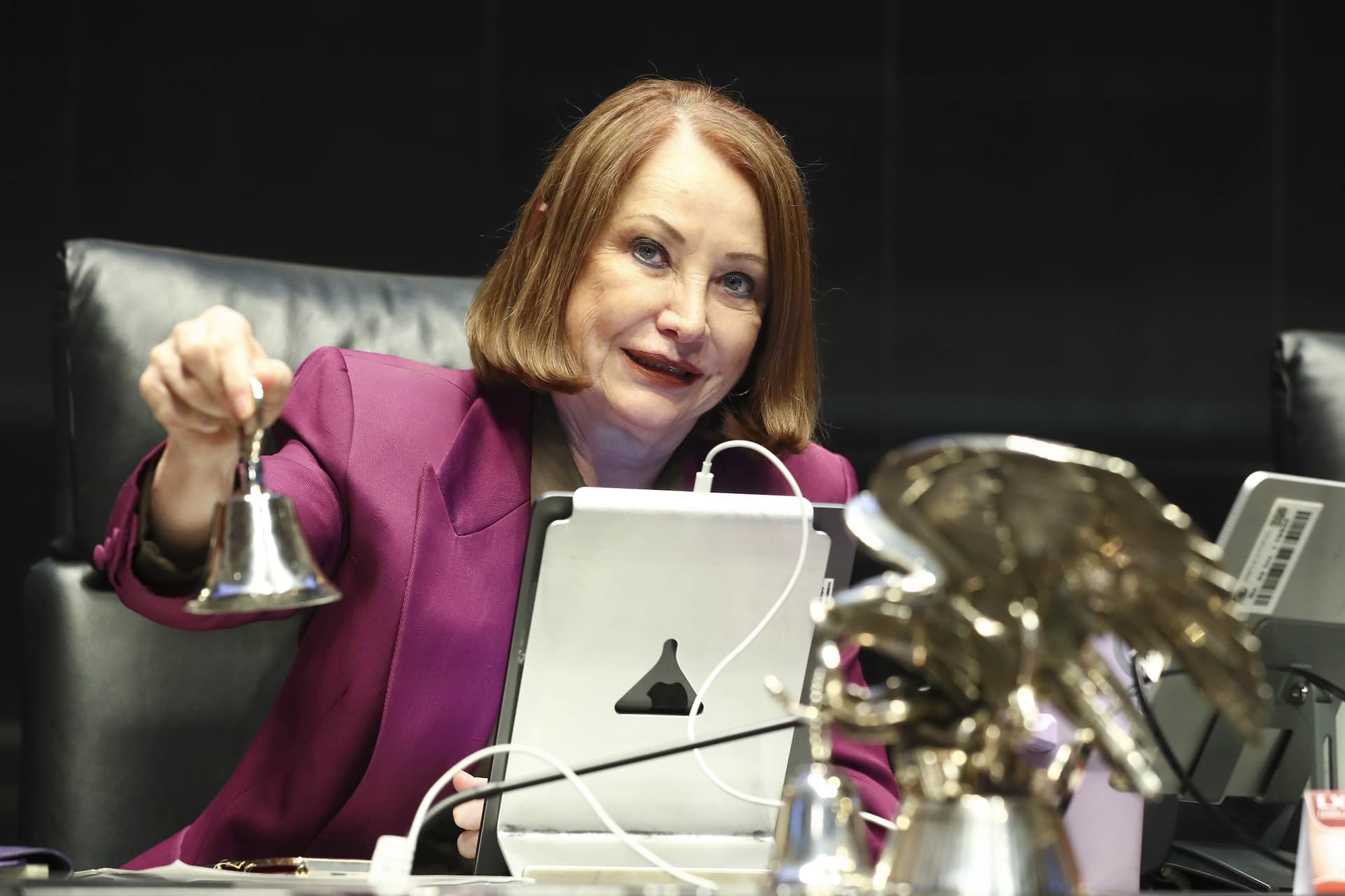 Laura Itzel Castillo, presidenta del Senado