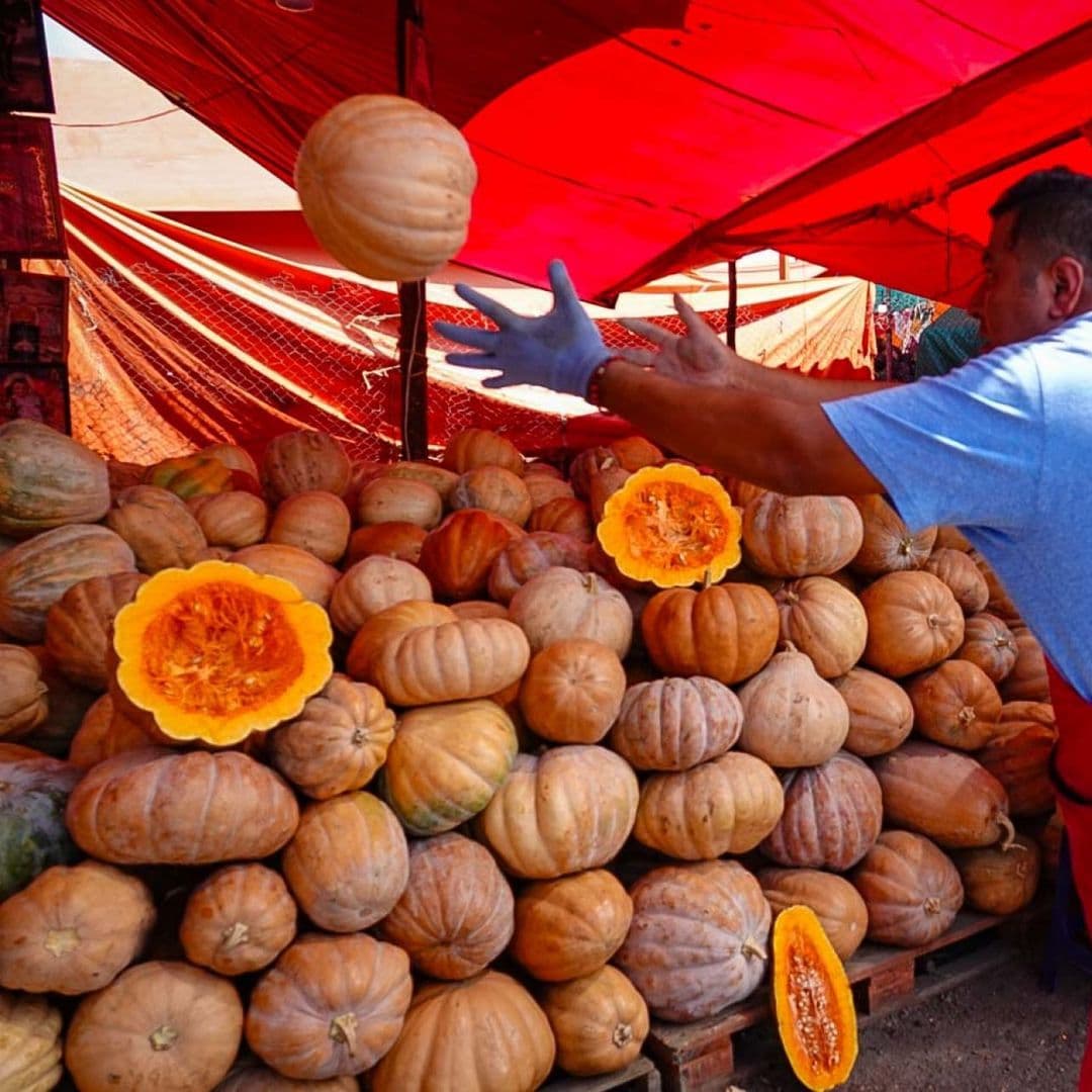 Más que un Adorno de Halloween, la Calabaza es un Fruto Medicinal y Alimento para las Ánimas