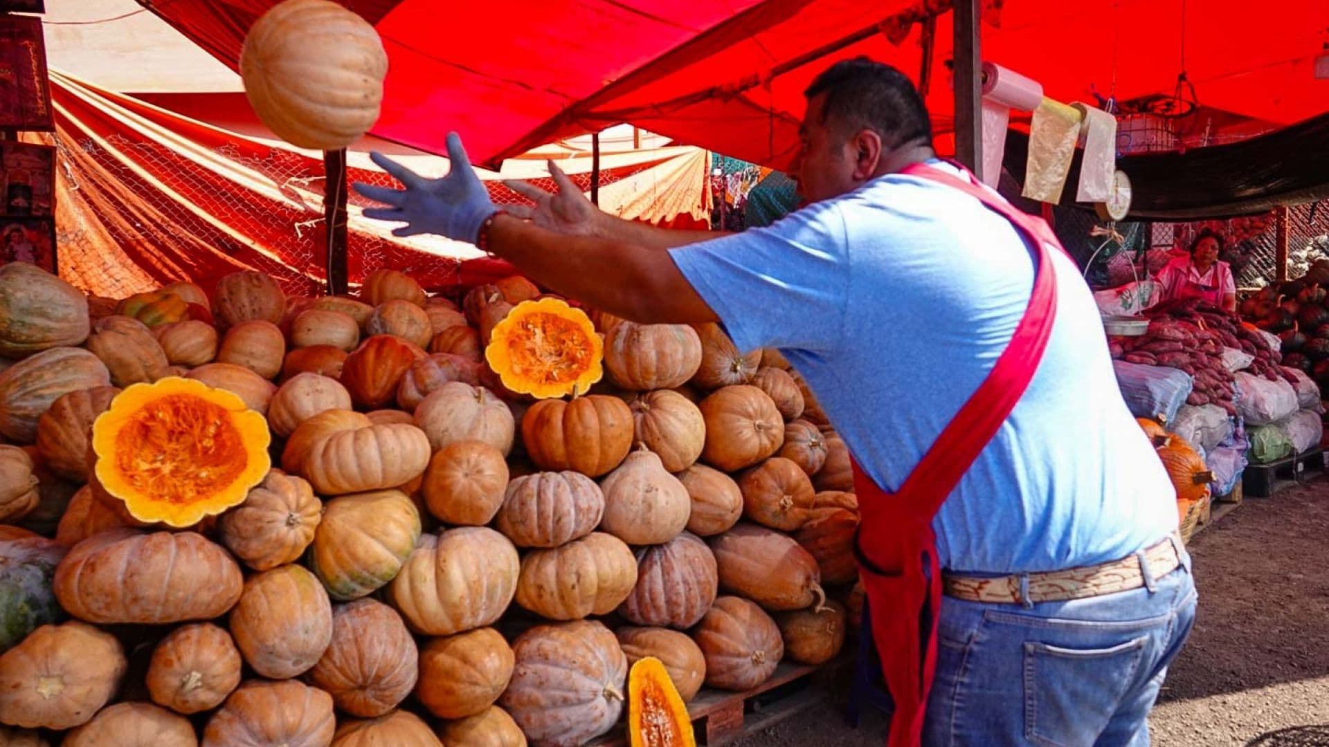 Venta de calabaza