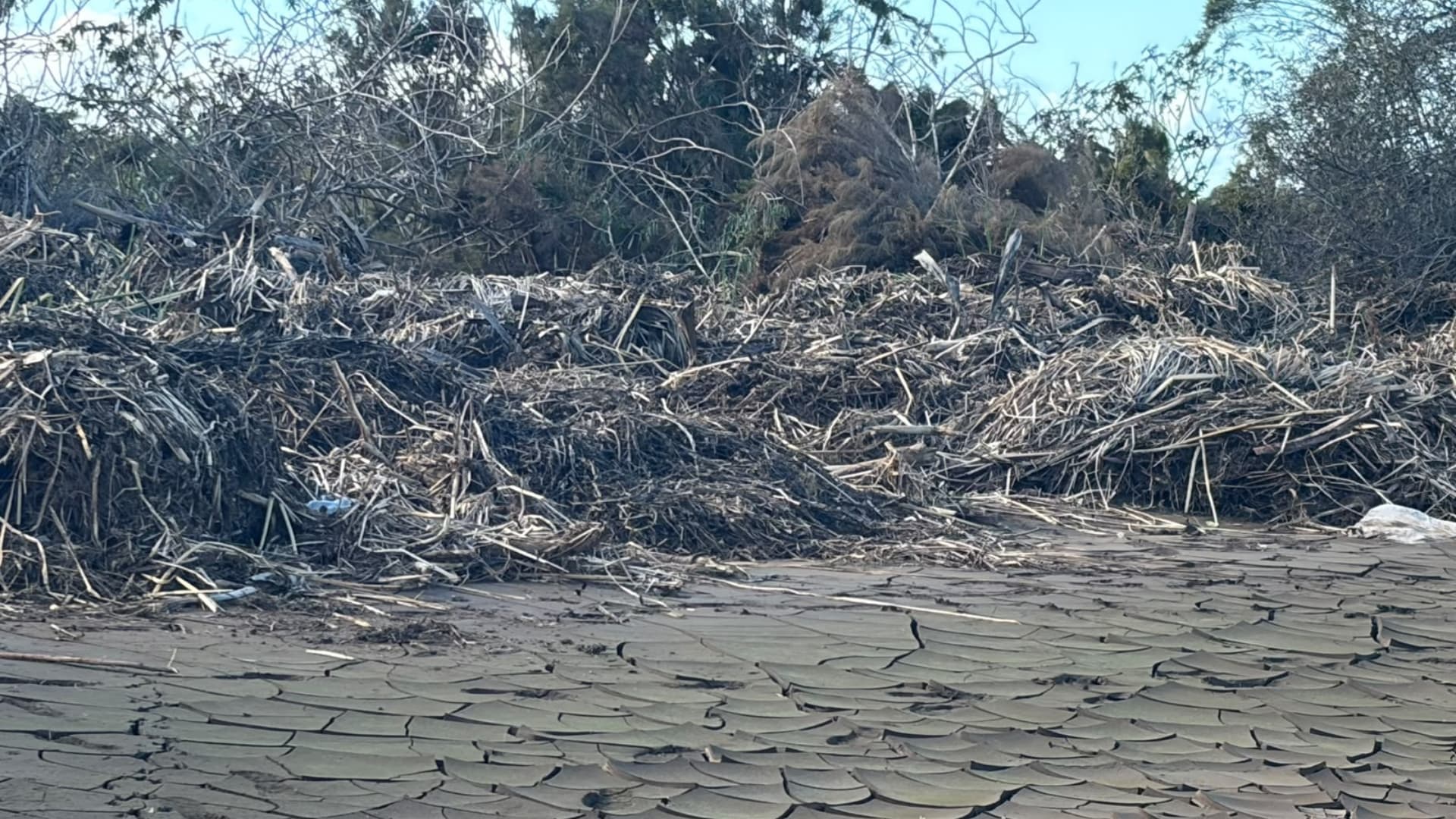 Localizan a Persona Sin Vida en Arroyo de Estero de Punta Banda en Ensenada, BC
