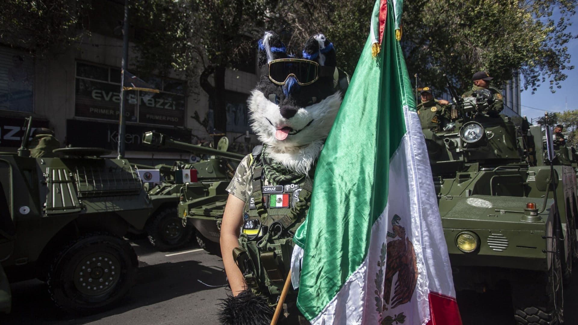 '¡Viva México!': Así se Vive el Ambiente en el Desfile Militar 2026